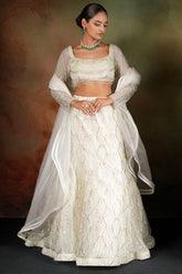 Pearl White Net Sequin and Cutdana Worked Designer Lehenga