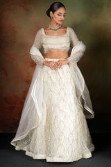 Pearl White Net Sequin and Cutdana Worked Designer Lehenga