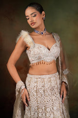 Champagne Beige Net Designer Embroidered Mermaid Style Lehenga Set