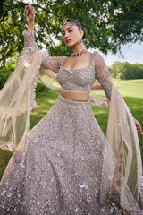 Brown Net Designer Embellished Lehenga with Heavy Work