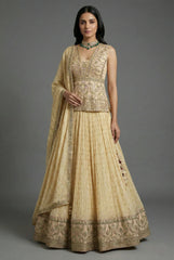 Cream Tissue Embroidered Lehenga Choli with Dupatta