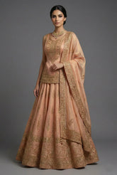 Blush Peach Tissue Embroidered Lehenga with Peplum Blouse