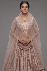 Champagne Brown Silk Embroidered Heritage Lehenga