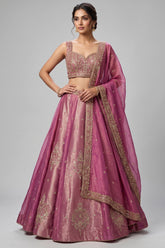 Pink Tissue Woven Panelled Lehenga