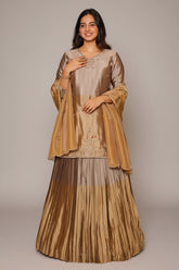 Golden and Silver Tissue Zardosi Worked Lehenga Suit