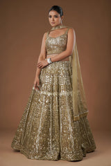 Brown Net Sequinned Designer Lehenga