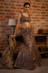 Brown Net Fish Cut Sequin Beaded Designer Lehenga