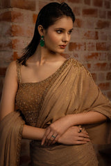 Brown Lycra Fancy Ready to Wear Saree with Sequin and Cutdana Work