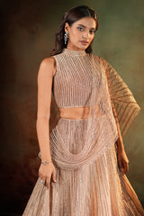 Beige Net High Neck Designer Metallic Stripe Lehenga Set with Attached Dupatta