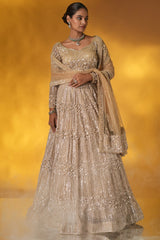 Champagne Gold Net Designer Sequinned and Dimoand Worked Lehenga Set