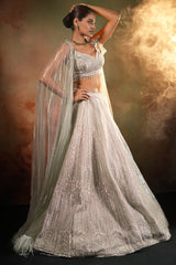 Silver Net Designer Lehenga Set with Cape Sleeves
