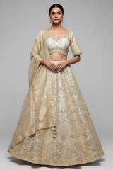 Off White Organza Woven Lehenga