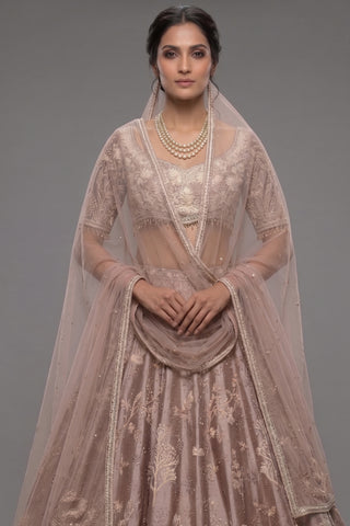 Champagne Brown Silk Embroidered Heritage Lehenga