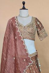 Brown Tissue Zardosi and Cutdana Worked Lehenga