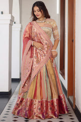 The Multi-Chromatic Panel Tissue Silk Lehenga with Embellished Embroidered Choli and Rose Paithani Border Dupatta