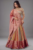 The Multi-Chromatic Panel Tissue Silk Lehenga with Embellished Embroidered Choli and Rose Paithani Border Dupatta