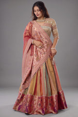 The Multi-Chromatic Panel Tissue Silk Lehenga with Embellished Embroidered Choli and Rose Paithani Border Dupatta