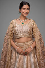The Imperial Gold Jacquard Brocade Woven Silk Kalidar Lehenga Ensemble with Handcrafted Jewel Blouse and All-Over Cutwork Tissue Dupatta
