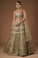Brown Net Sequinned Designer Lehenga