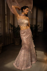 Pastel Pink Net Designer Fish Cut Lehenga
